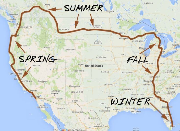 The Best U.S. Road Trips to Take in Each Season (2025 Travel Guide)